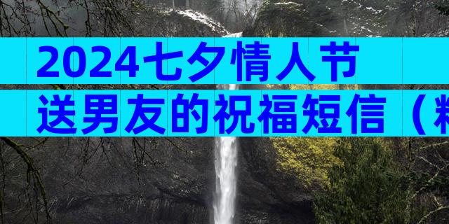 2024七夕情人节送男友的祝福短信（精选31篇）