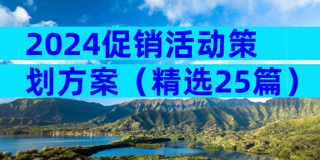 2024促销活动策划方案（精选25篇）