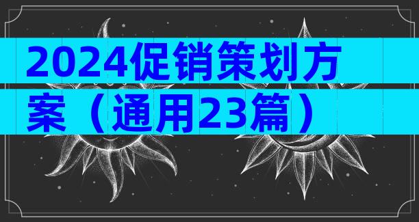 2024促销策划方案（通用23篇）