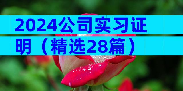 2024公司实习证明（精选28篇）