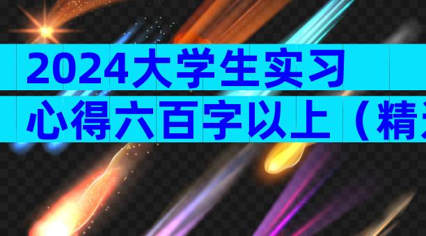 2024大学生实习心得六百字以上（精选33篇）