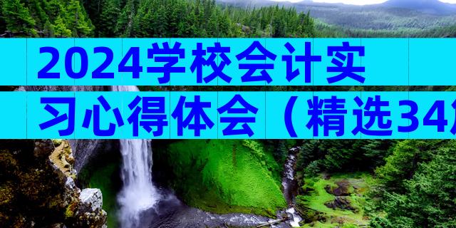 2024学校会计实习心得体会（精选34篇）