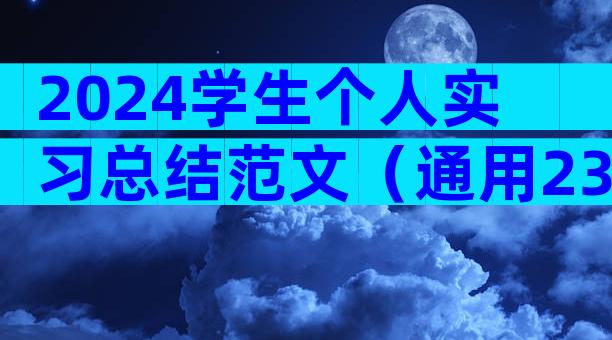 2024学生个人实习总结范文（通用23篇）