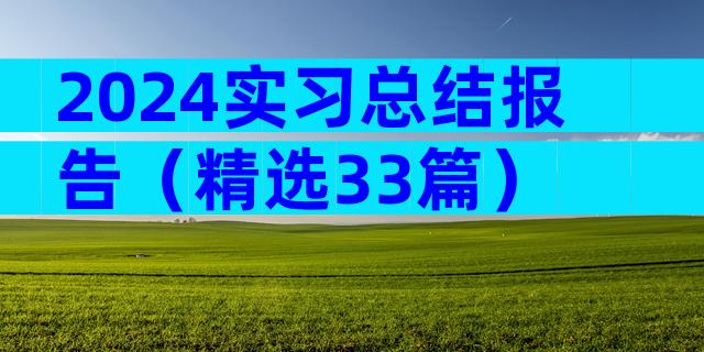 2024实习总结报告（精选33篇）