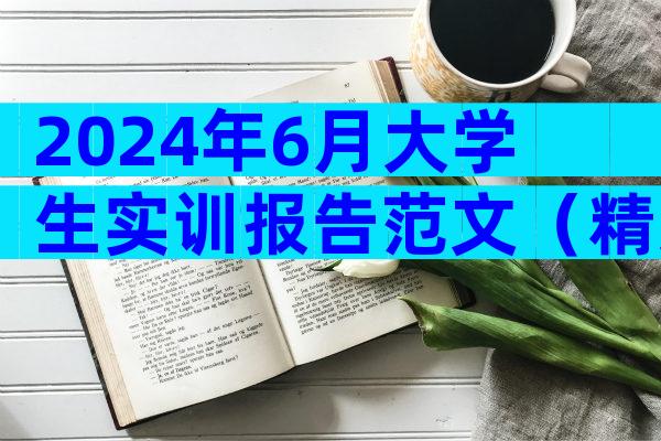 2024年6月大学生实训报告范文（精选24篇）