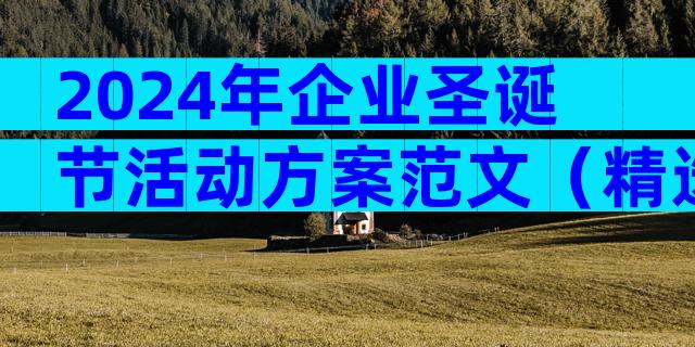 2024年企业圣诞节活动方案范文（精选33篇）