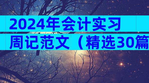 2024年会计实习周记范文（精选30篇）