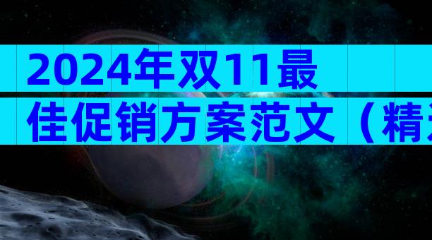 2024年双11最佳促销方案范文（精选33篇）