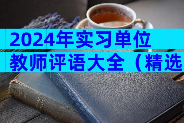 2024年实习单位教师评语大全（精选3篇）