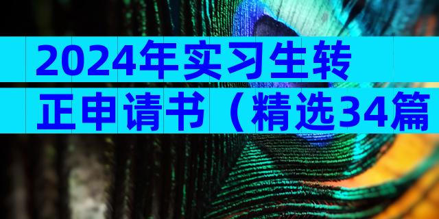 2024年实习生转正申请书（精选34篇）