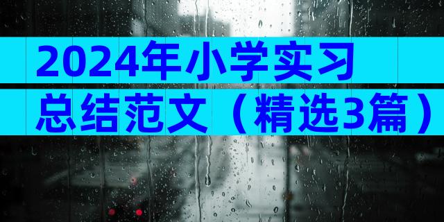 2024年小学实习总结范文（精选3篇）