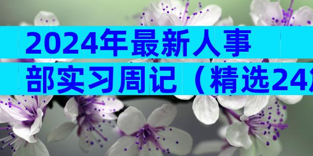 2024年最新人事部实习周记（精选24篇）