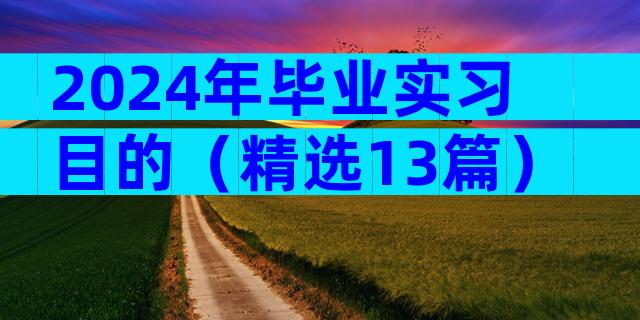 2024年毕业实习目的（精选13篇）