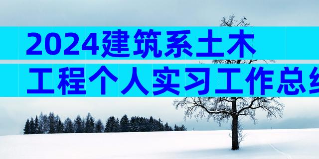 2024建筑系土木工程个人实习工作总结（通用3篇）