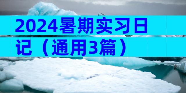 2024暑期实习日记（通用3篇）