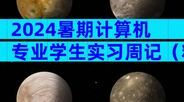 2024暑期计算机专业学生实习周记（精选34篇）