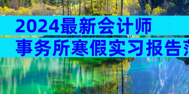 2024最新会计师事务所寒假实习报告范文（精选25篇）