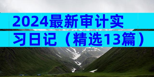 2024最新审计实习日记（精选13篇）