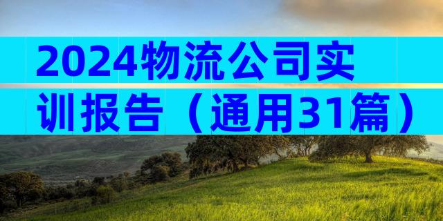 2024物流公司实训报告（通用31篇）