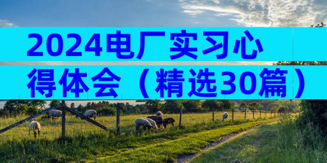 2024电厂实习心得体会（精选30篇）