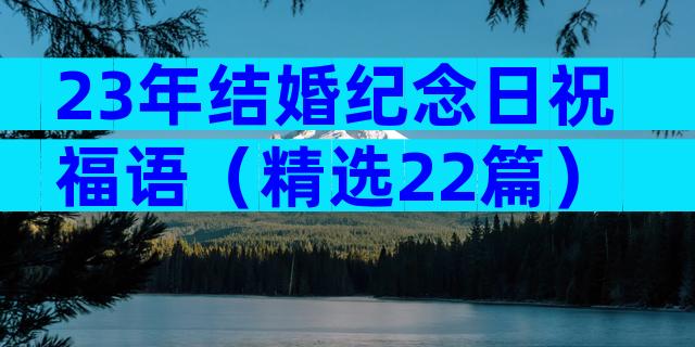 23年结婚纪念日祝福语（精选22篇）