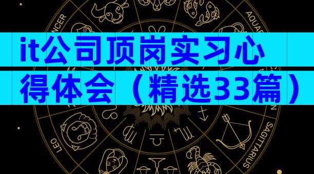 it公司顶岗实习心得体会（精选33篇）