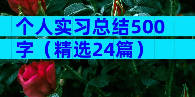 个人实习总结500字（精选24篇）