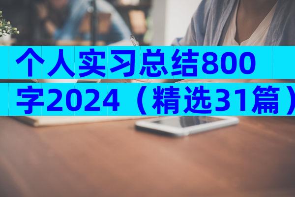 个人实习总结800字2024（精选31篇）