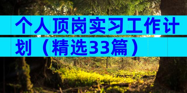 个人顶岗实习工作计划（精选33篇）