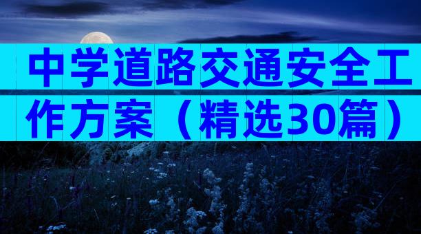 中学道路交通安全工作方案（精选30篇）