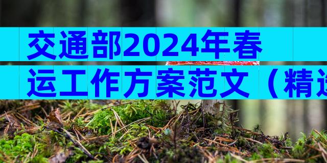 交通部2024年春运工作方案范文（精选30篇）