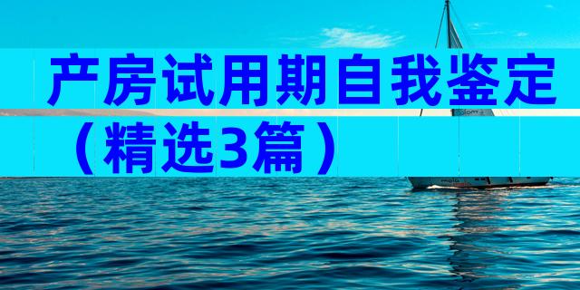 产房试用期自我鉴定（精选3篇）