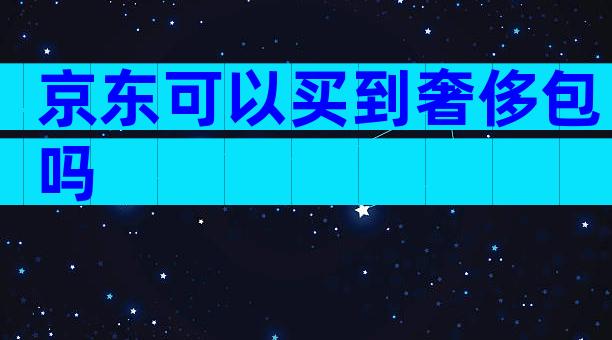 京东可以买到奢侈包吗