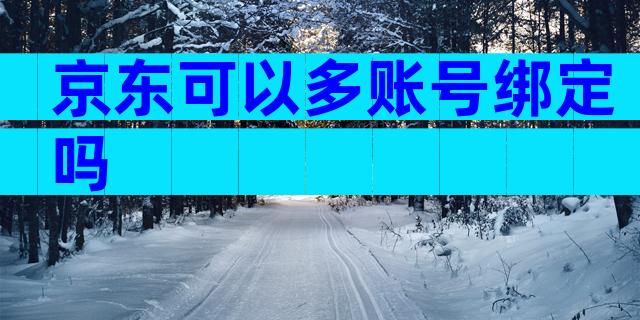 京东可以多账号绑定吗