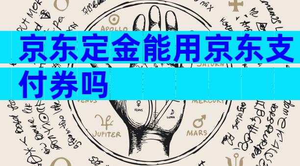 京东定金能用京东支付券吗