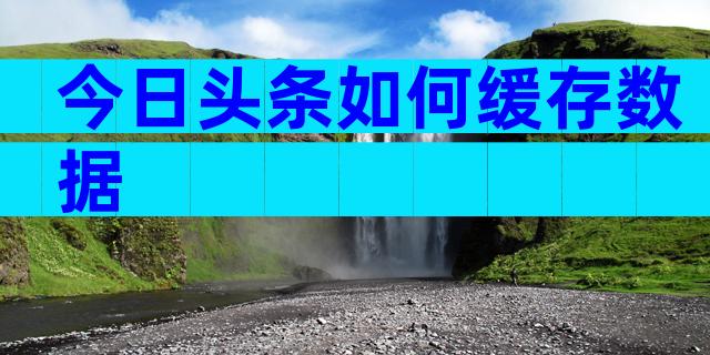 今日头条如何缓存数据