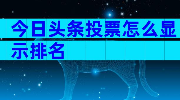 今日头条投票怎么显示排名