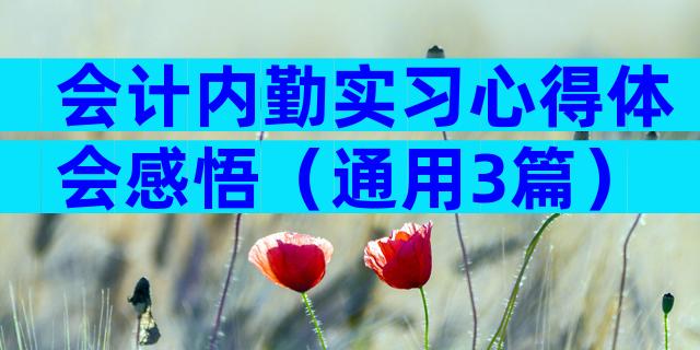 会计内勤实习心得体会感悟（通用3篇）