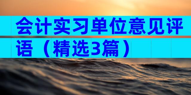 会计实习单位意见评语（精选3篇）