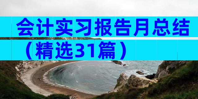 会计实习报告月总结（精选31篇）