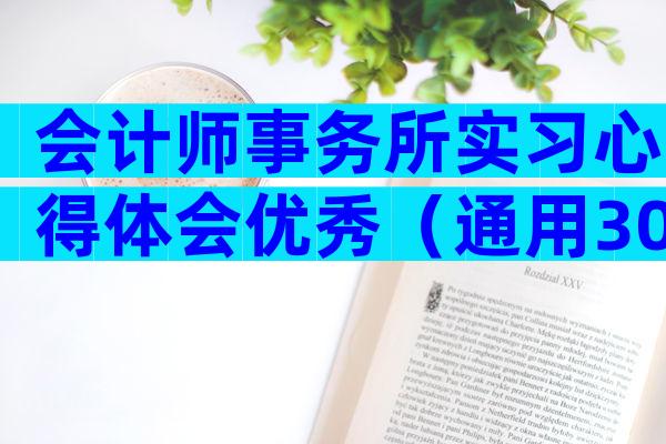 会计师事务所实习心得体会优秀（通用30篇）