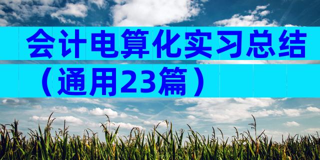 会计电算化实习总结（通用23篇）