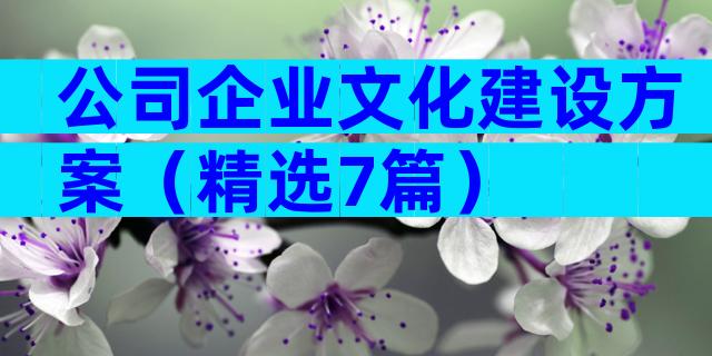 公司企业文化建设方案（精选7篇）