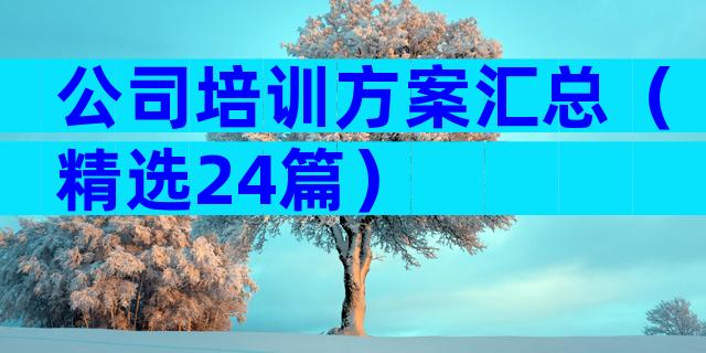 公司培训方案汇总（精选24篇）