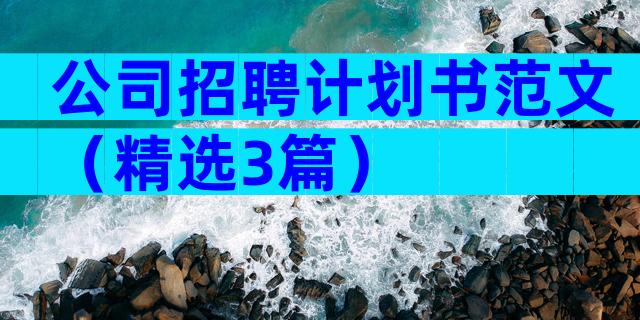 公司招聘计划书范文（精选3篇）