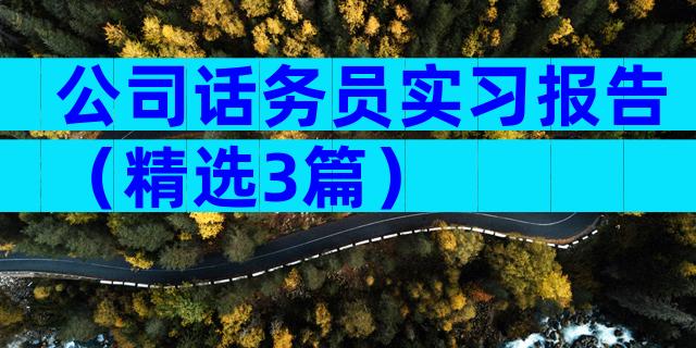 公司话务员实习报告（精选3篇）