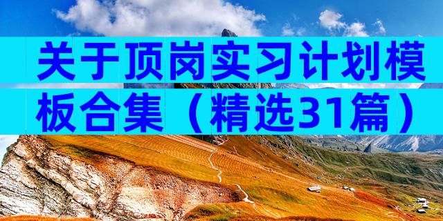 关于顶岗实习计划模板合集（精选31篇）