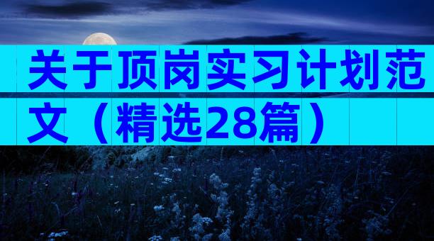 关于顶岗实习计划范文（精选28篇）