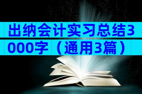 出纳会计实习总结3000字（通用3篇）