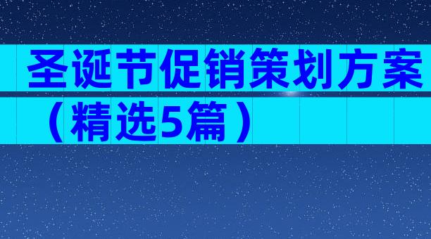 圣诞节促销策划方案（精选5篇）